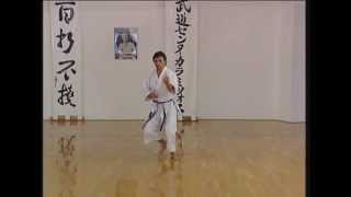 Kanku Sho  Efthimios Karamitsos  Karate  Kata  Shotokan [upl. by Fen]