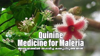 അബദ്ധത്തിൽ സംഭവിച്ച കണ്ടുപിടുത്തങ്ങൾ Episode1 Quinine  Medicine  Maleria  Inventions trending [upl. by Aaberg254]