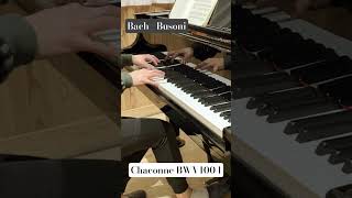 One of Favorite Chaconne Phrases 77 piano bach busoni chaconne violin partita [upl. by Hctub]