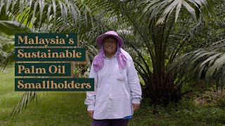 Herzuza Dongkin  How Wild Asia and Malaysia’s palm oil smallholders are changing the industry [upl. by Fawne360]