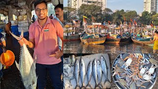 Sassoon Dock Fish Market Latest Video  Marathi Vlogger😎😎 svdvlogs fishmarket fishing dockyard [upl. by Rourke]