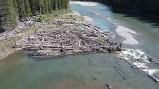 Fishing Albertas Mountain Streams [upl. by Ahsiek]