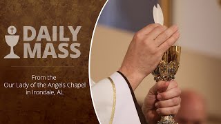 Catholic Daily Mass  Daily TV Mass  September 25 2024 [upl. by Kato21]