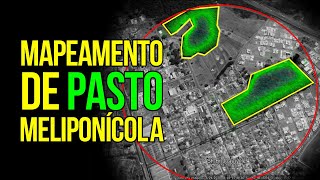 Calculando Pasto para suas Abelhas  Mapeamento de Pasto Meliponícola  MPM [upl. by Willin269]