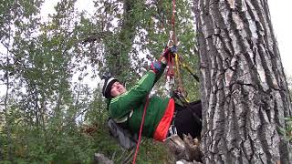 Petzl crevasse rescue kit practice ascending a rope [upl. by Atilef]