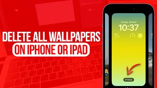 How to Delete All Wallpapers on iPhone  Full Guide [upl. by Ahsirtal689]