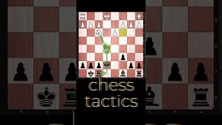 MustKnow Chess Tricks for Beginners  Double Attack Pin and Queen Rook Attacks [upl. by Sigfrid]