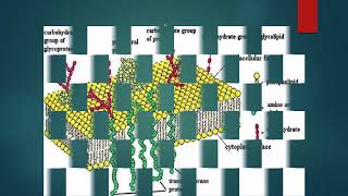 Cytology paramedical English [upl. by Nitsug]