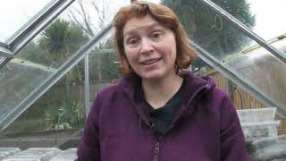 Chitting Potatoes  Claires Allotment  Part 456 [upl. by Anilatac607]