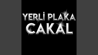 Yerli Plaka Cakal Live [upl. by Kinelski]