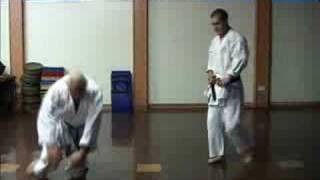 GOJU RYU KARATE  TRAINING TECHNIQUES 3  BUNKAI [upl. by Sateia20]