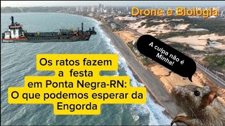 A PRAGA  A Praia de Ponta NegraRN tomada por Ratos A engorda o enrocamento e os ratos [upl. by Yancy785]