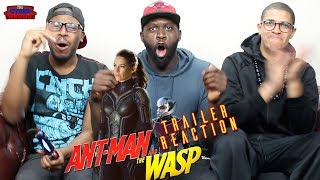 AntMan amp The Wasp Trailer REACTION [upl. by Amias347]