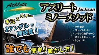 【ルアーアクション決定版】誰でも簡単に爆釣できる動かし方 [upl. by Niggem]