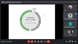 VMC Circoviridae amp Anelloviridae Veterinary Virology by Dr Parimal Sir 2606 [upl. by Charlotta]