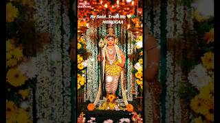 Om Yenum pranava manthiram songMurugan bakthi padalwatsapstatus trending murugan song shortsfeed [upl. by Enhpad727]