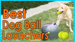 Best Dog Ball Launchers 2021 Top 5 Picks [upl. by Nanaj]