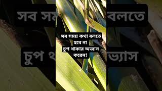 islamicshortvideo wazbangla wazmahfil banglaislamicwaz waz2023 waz [upl. by Renaxela670]