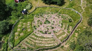 natuurlijke bestrijding Japanse duizendknoop  permacultuur in Zweden 148 [upl. by Notseh]