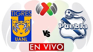 TIGRES VS PUEBLA EN VIVO  LIGA MX APERTURA 2024  JORNADA 11  DONDE VER EN VIVO [upl. by Woodberry]