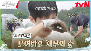 영웅 씨 우선 들어봐ㅎ 우리한테 채무가 있는데 highlight 삼시세끼Light EP2 [upl. by Nylarat]