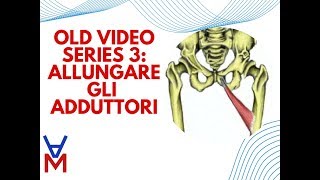 OLD VIDEO SERIES 3  ALLUNGARE GLI ADDUTTORI [upl. by Isawk]