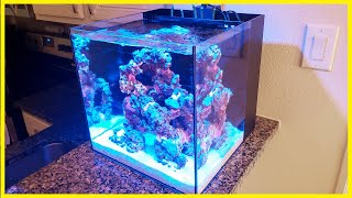 Step 2  Adding Water to the ZoanthidOnly Nano Reef [upl. by Dolley]