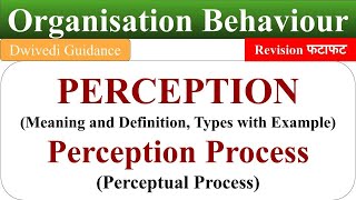 Meaning of Perception perception process perceptual process ob organisational behaviour [upl. by Ellie]