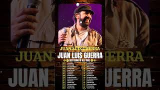 Juan Luis Guerra EXITOS  Frío Frío  Mix Mejor Salsa y Bachata juanluisguerra bachata [upl. by Allehcim]