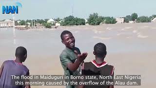 The flood in Maiduguri in Borno state North East Nigeria caused by the overflow of the Lau dam [upl. by Infeld]