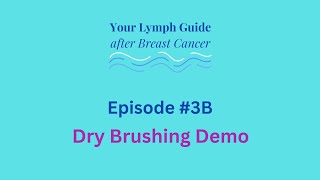 3B Dry Brushing Demo [upl. by Sedrul]