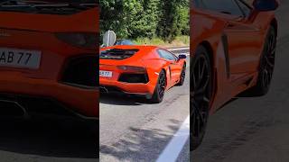 sportwagen treffen velden Lamborghini supercars cars luxury automobile lamborghini [upl. by Ial]