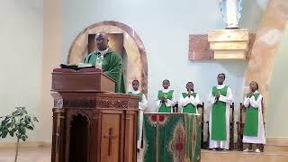 Holy Mass with Fr Stanley Mukui  7 November 2024 [upl. by Byrann]