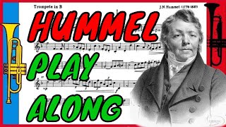 Hummel  Trumpet Concerto I Allegro con Spirito Accompaniment Play along Backing track [upl. by Medora]