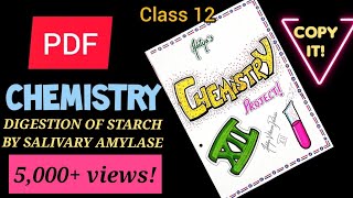 Chemistry Investigatory Project Digestion of Starch by Salivary Amylase 🔥PDF💥COPY IT😉 CBSE  AVP [upl. by Ynatsed]