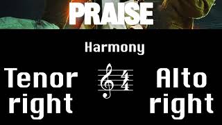 Praise  Harmony Tutorial [upl. by Ettegdirb233]