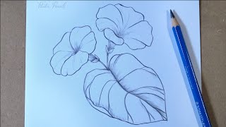 How to Draw Flowers Step by Step  Pencil drawing [upl. by Naujik]