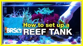 How to start a 20 gallon nano reef tank fusion20  Innovative Marine Nuvo 20 [upl. by Yanej]