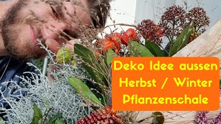 Winter Bepflanzung  DIY Anleitung für deine aussen Dekoration  Pflege Tipps amp Pflanzen Tipps [upl. by Casabonne425]