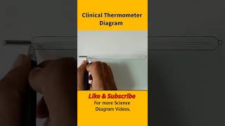 Clinical Thermometer Diagram clinicalthermometer thermometer class7 [upl. by Mosi326]