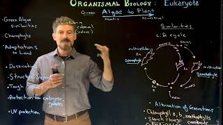 From Protist to Plant Adaptations to Terrestrial Life [upl. by Dulcia]