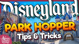 Park Hopping at Disneyland Ultimate Guide  Tips amp Strategy [upl. by Eselahs239]