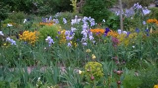 Monets Garden at Giverny 1452015 [upl. by Race672]