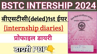 BSTC 1st year internship diaries 2024  profile diary pdf  bstc 1st internship diary kaise banaye [upl. by Rodablas883]