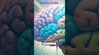 Unlock the Power of Synesthesia Boost Your Brain in 60 Seconds [upl. by Stilu]