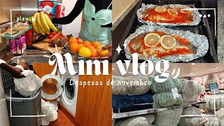 Mini vlog com despesas de novembro  dourada no forno rotina diária  por cleria Capinãla [upl. by Aihsilef]