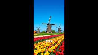 The Fascinating History of Dutch Windmills [upl. by Ydasahc9]