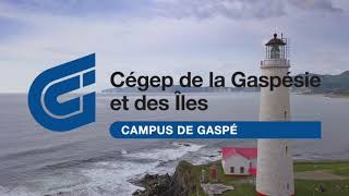 Découvre le campus de Gaspé du Cégep de la Gaspésie et des Îles [upl. by Talya]