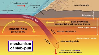 Inside our Earth  Layers of the Earth Model I NCERT Class  7 Geography I Social Science [upl. by Hamford]