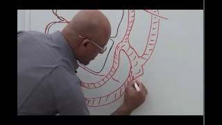 Cranial Nerve IV  Trochlear Nerve  Origin Structure Pathway amp Function [upl. by Eahsed617]